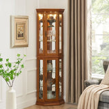 Corner Curio Cabinet with Lights, Adjustable Tempered Glass Shelves, Mirrored Back, Display W1693P165016