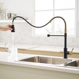Commercial Black and Nickel Gold Faucet with Pull Out Sprayer, Single Handle Single Lever W1932P172336