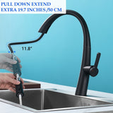 Stainless Steel Pull Out Kitchen Faucet W1217125154