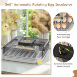 48 Egg Incubator for Hatching Chicken, Duck, Quail & Parrot Eggs Automatic Egg Turning, Humidity W2700P326296