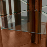 Corner Curio Cabinet with Lights, Adjustable Tempered Glass Shelves, Mirrored Back, Display 24721682