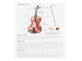 GV103 4/4 Spruce Panel Violin Matte Natural 56821192