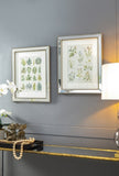 S/2 15.7x19.7" Liana Mirror Framed Wall Art on Mellow Golden Tint Background W2078P313327