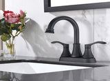 2-handle Lavatory Faucet Bathroom Sink Faucet DS-02-CD-011-541-MB