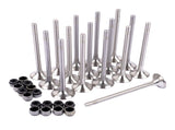 8x Intake Valves & 8x Exhaust Valves for VW Passat Beetle Audi Seat Leon 2.0 TDI 03L109601 03L109611 32822582