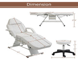 Massage Salon Tattoo Chair with Two Trays Esthetician Bed with Hydraulic Stool,Multi-Purpose W1422132171