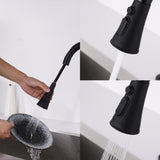 Pull Down Kitchen Faucet with Sprayer Stainless Steel Matte Black JYD3411MB