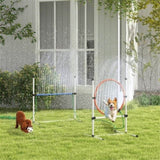 Dog Agility Training Equipment 57112050