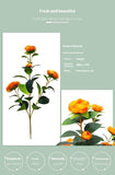 Artificial Camellia Tree 2 Pack, 36"Faux Camellia in Pot with Orange Flowers, Greenery Potted W2641P314787