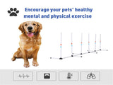 Dog Outdoor Exercise Training Set 57709214