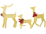 3-Piece Lighted Christmas Reindeer Family Set Outdoor Decorations, Weather Proof 2D Deer Family Set 09867947