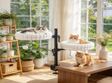 Indoor Cat Desk Bed, Cat Hammock with 2 Removable Beds & 2 Hanging Balls for Desk & Window, Holds Up 70267860