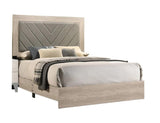 ZNTS Contemporary Cream Finish Queen Size Bed Bedroom Furniture Gray V-Design Headboard Rubberwood B011P236815