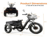 Electric Tricycle for Adults, Peak 1200W Step-Thru Etrike with 48V 13Ah Removable Battery,20"4.0" T6689P601001