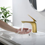 Single Hole Bathroom Sink Faucet with Pop Up Drain and Water Supply Hose, Single Handle Bathroom W1224P227855