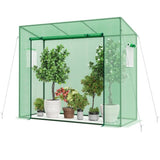 Outdoor mini greenhouse, walk-in greenhouse 66127842