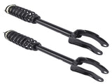 Set of 2 Front Shock Strut Coil Spring Assys Fit for Mercedes-Benz W166 C292 ML500 GLE400 1663232400 95769204