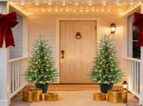 2 Pcs 4FT LED Trees Christmas with Timer and 15 Red Berry Clusters, Easy Assembl 70213027