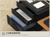 File Cabinet/ Storage cabinet 09626340