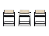 Milan 25.5" Modern Resin Webbing Back Bar Stool with Arms, Set of 3, Ebony Black Boucle B2719P238391