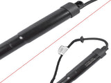 Set of 2 Rear Left and Right Tailgate Lift Support Fit for Kia Sedona Van 3.3L V6 2015-2021 Black 74844591