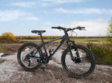 S26102 26 Inch Mountain Bike, Shimano 21 Speeds with Mechanical Disc Brakes, High-Carbon Steel W709P284586