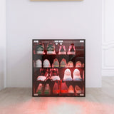 ZNTS 4 Layers Black Shoe Cabinet with Glass Door and Glass Layer Shoes Display Cabinet with LED light W2139134910