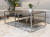 ZNTS Padena Metal Frame Wood Living Room Coffee Table with Shelf T2574P164650