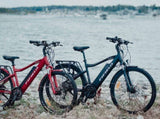 bonfire 500 -- city/commuter ebike T5986P499996