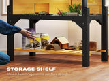 Turtle Cage/ Tortoise House 75350654