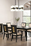 Contemporary Espresso Set of 2pc Dining Side Chairs Kitchen Dining Room Furniture B2741P311019