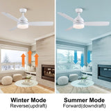 ZNTS Smart 48 in. integrated LED Balck Ceiling Fan with Remote Contorl and Plywood Blades W1367P182811