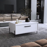 ZNTS Coffee Table 15.6