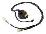 Ignition Coil CDI Regulator Wire Harness fit for Honda ATV 1999-2004 30410-HN1-003 02933948