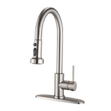 Stainless Steel Pull Down Kitchen Faucet with Soap Dispenser Brushed Nickel W122569700