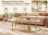 2-Tier Oval Coffee Table, 37.8" x 19.7" x 18.1", Tempered Glass Tabletop & 13436902