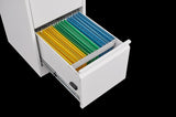 4 Drawer File with Lock Metal Vertical File Storage Office Home Steel Vertical File W1247P173379