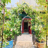 Metal Garden Arch with Adjustable Width W42.52''W78.15'' Climbing Plants Support Rose Arch Outdoor W1586P268885