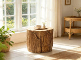 Natural Set of 2 Concrete Tree Stump Side Table Solid End Table for Indoor Outdoor Use, No 97095714