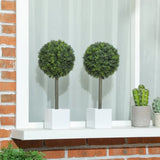 Artificial Plant/Green plants 81278399