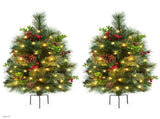 Set of 2 2FT Pre-lit Outdoor Pathway Christmas Trees with Stakes, Red Berries and 27630862
