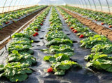 6x100FT Heavy Duty Weed Barrier Landscape Fabric, Woven PP Geotextile Ground Cover for Driveways & 27218791