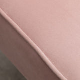Elon Contemporary Velvet Upholstered Accent Chair, Pink T2574P164257