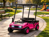 24V Kids Golf Cart 2WD 2-Seater Soft Start Rear Suspension Pink 93382424