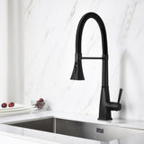 Kitchen Faucet with Pull Down Sprayer W2287P264769