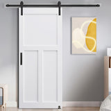 CRAZY ELF 28" x 84" "T" Style Real Primed Door Slab, DIY Panel Door, Modern Interior Barn Door, W936104309