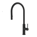 DAX Single Handle Pull Down Kitchen Faucet Matt Black Finish B2702P227004