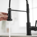 Kitchen Faucet with Pull Down Sprayer Black Stainless Steel Single Handle Pull Out Spring Sink W1932P224868
