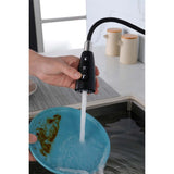Single Handle Stainless Steel Kitchen Sink Faucet with Pull Down Sprayer W2287P354614