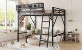 Queen Size Loft Bed with Ladder, Metal Queen Loft Bed with Storage Shelves, High Loft Bed for Kids W2580P316650